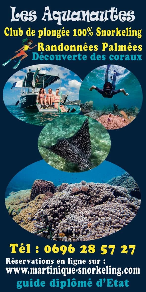 Encart Les Aquanautes