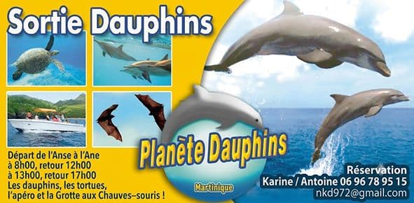 Encart Planète Dauphins