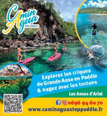 Encart Camin Agua Step Paddle