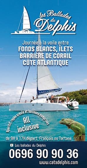 Encart Les Ballades du Delphis