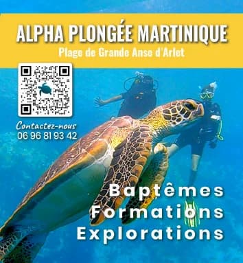 Encart Alpha Plongée Martinique
