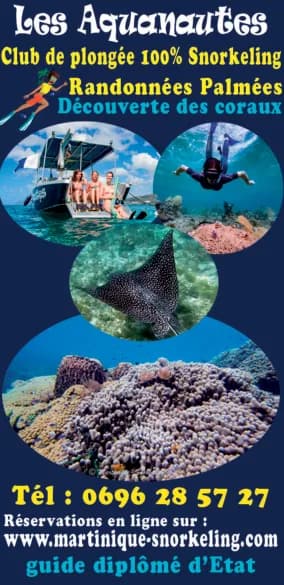 Encart Les Aquanautes