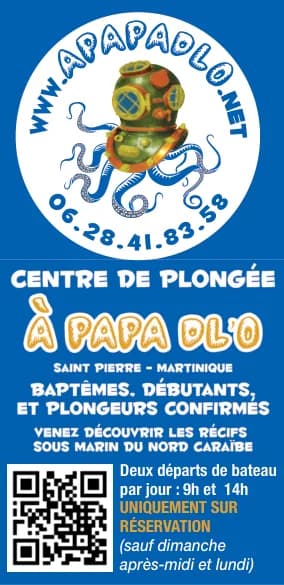 Encart À Papa Dl'O