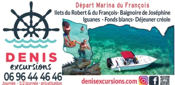 Encart Denis Excursions