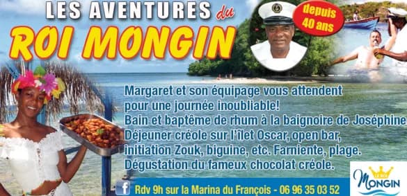 Encart Les Aventures du Roi Mongin