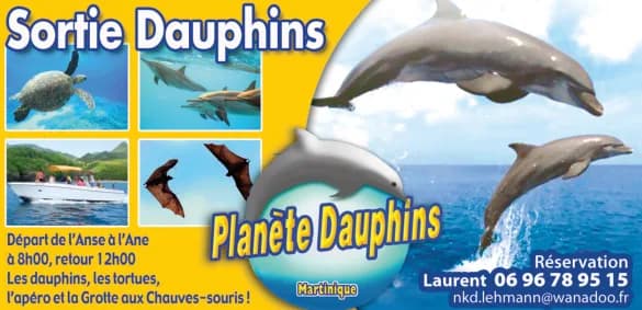 Encart Planète Dauphins