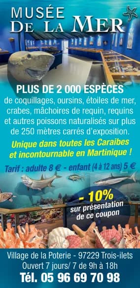 Encart Musée de la Mer