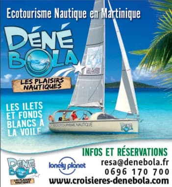 Encart Dénébola