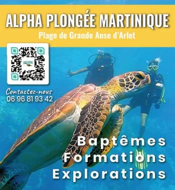 Encart Alpha Plongée Martinique