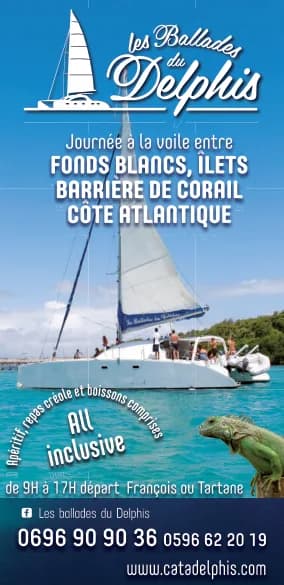 Encart Les Ballades du Delphis