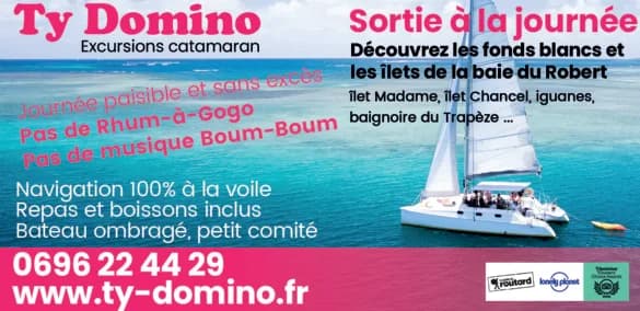 Encart Ty Domino